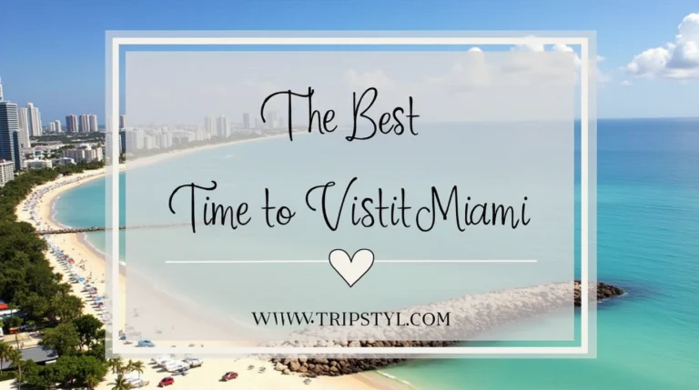 the Best Time to Visit Miami